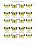 California Dogface Butterfly Forever First Class Postage Stamps